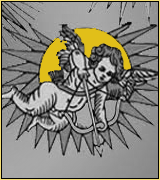 Cupidon bichrome